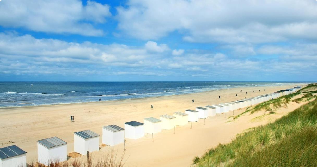 Breezy Beach Chalet Petten Exterior foto